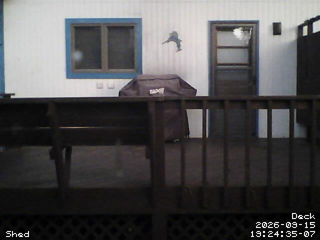 Camera 3